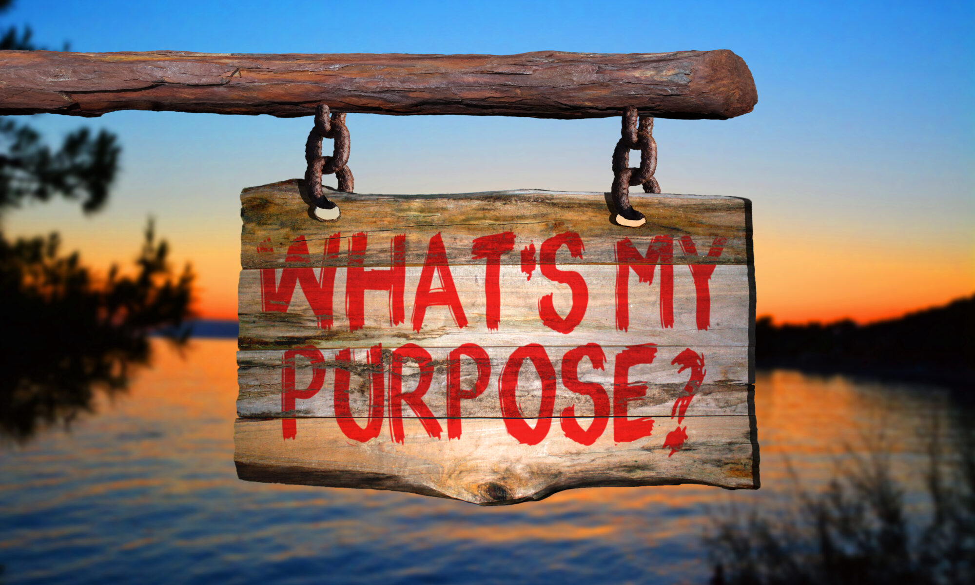 How do we escape fear to find purpose and a joyful life